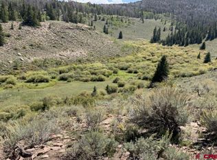 Tbd Sandy Rd, Powderhorn, CO 81243