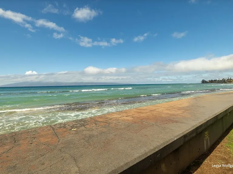 3559 Lower Honoapiilani Rd — Photo 36