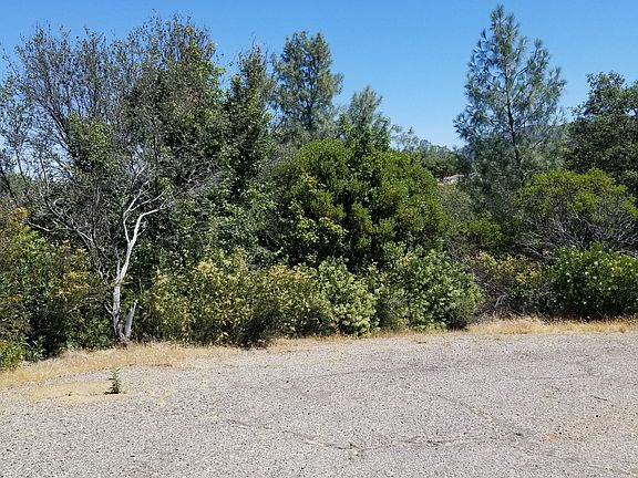 5th image of 3157 Grillo Dr
