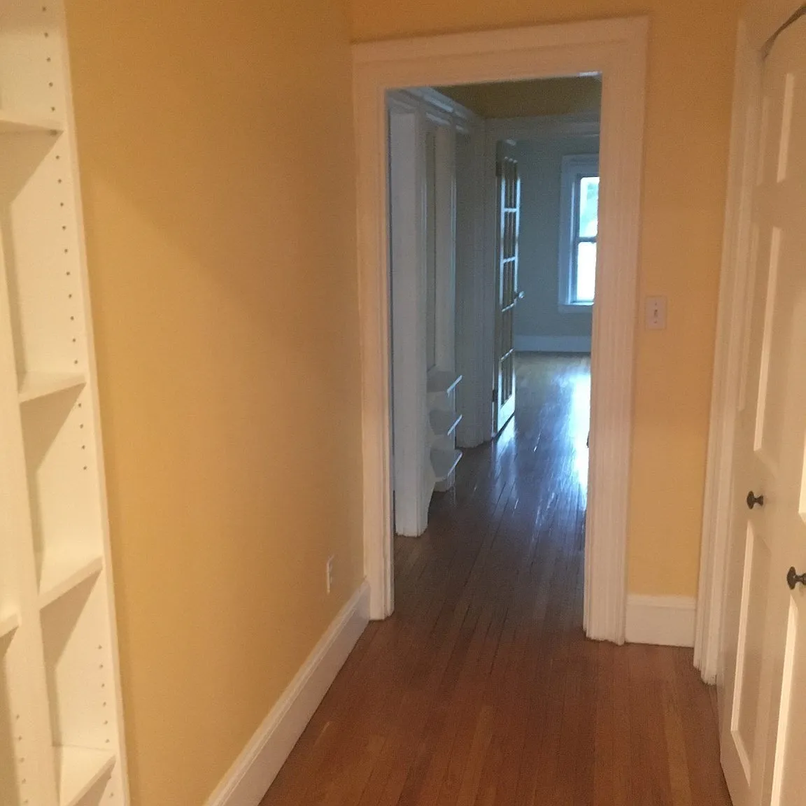 3 bed, 2.0 bath, 1200 sqft, $3,500 — Photo 3