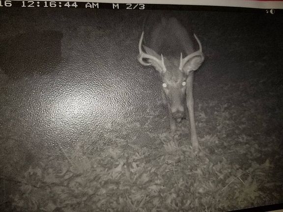 only 100ft from the house