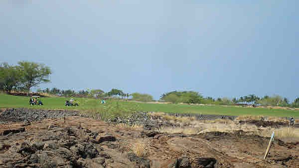 1st image of 13 Kono Way
