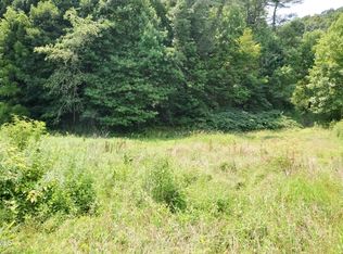 851 Browns Branch Rd, Hampton, TN 37658