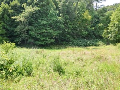 851 Browns Branch Rd, Hampton, TN, 37658
