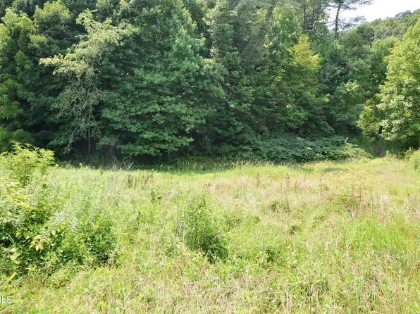 851 Browns Branch Rd, Hampton, TN 37658