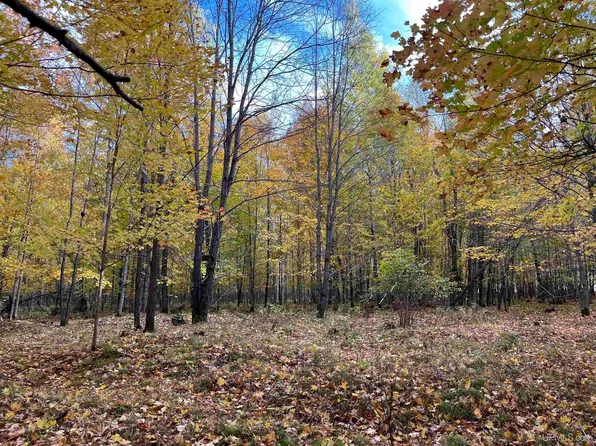 4 Porcupine Lake Rd, Long Lake, WI 54542