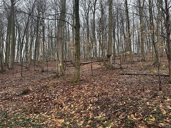 3rd image of Nob Rd Lot 20