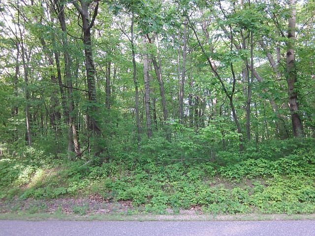 2nd image of 26.68 Acres Blf