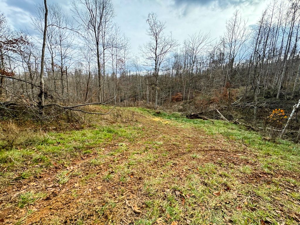 Real estate listing image