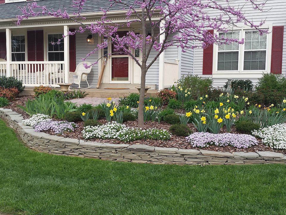 Spring time in Poplar Tree