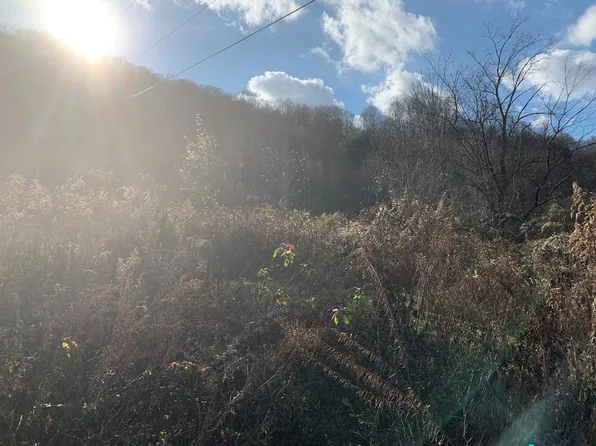 Fuller St, Bandy, VA 24602