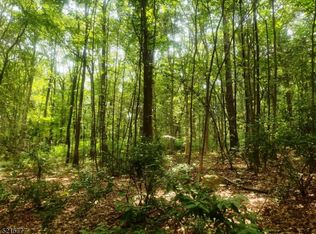 0 Olde Forge Ln, Hampton, NJ 08827