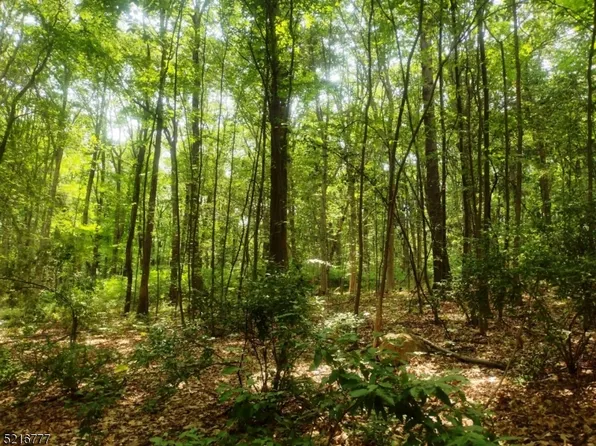 0 Olde Forge Ln, Union Twp., NJ 08827