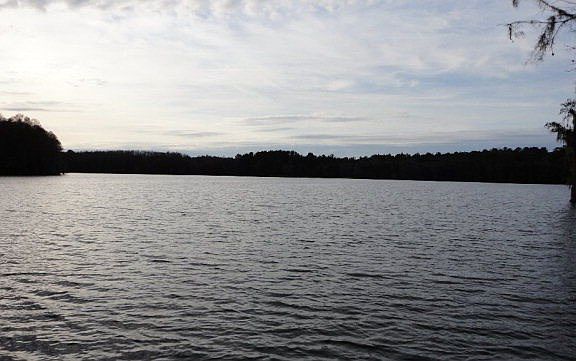 225 Ac Cypress Lakes