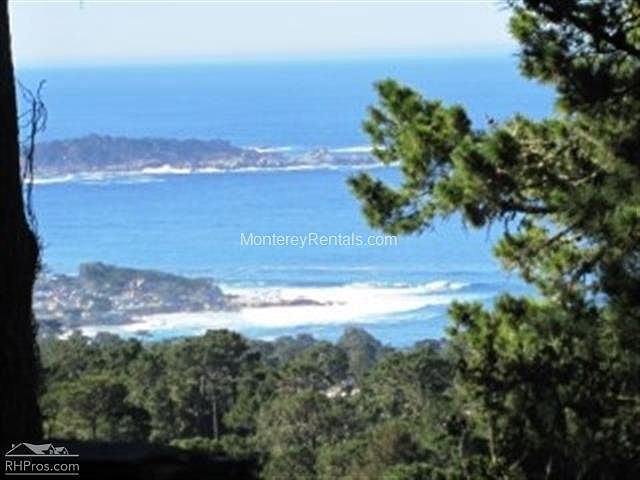 view from the living room