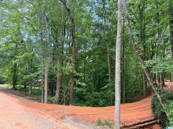 0 Settlement Rd #0, Sylacauga, AL 35150