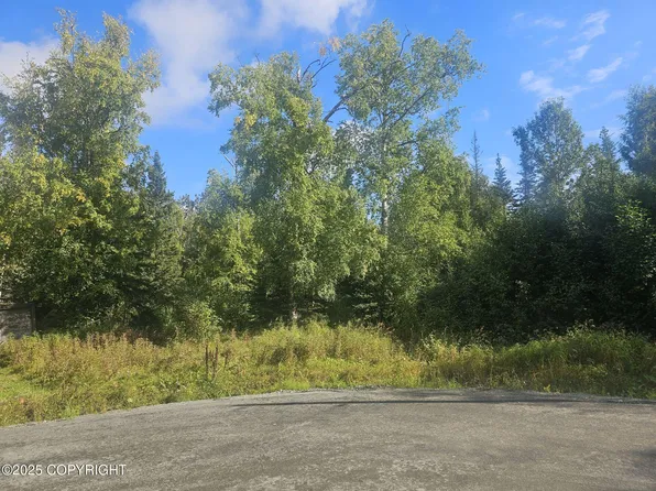 1465 E Holland Ave, Wasilla, AK 99654