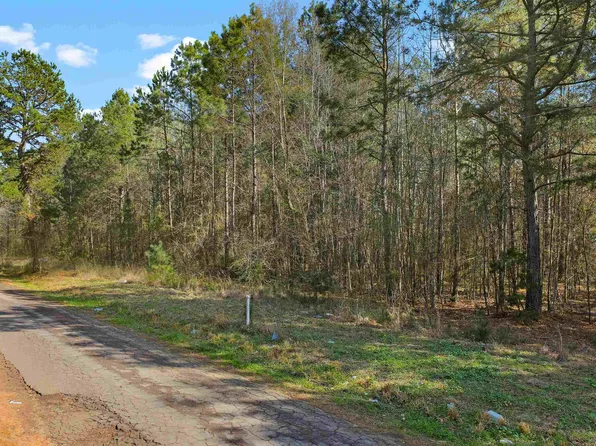 3150 Narcissus Rd, Ore City, TX 75683