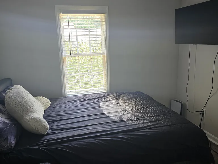 537 Mountain Lake Dr — Photo 29