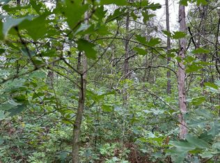 V/l W Lake Murray St, Baldwin, MI 49304