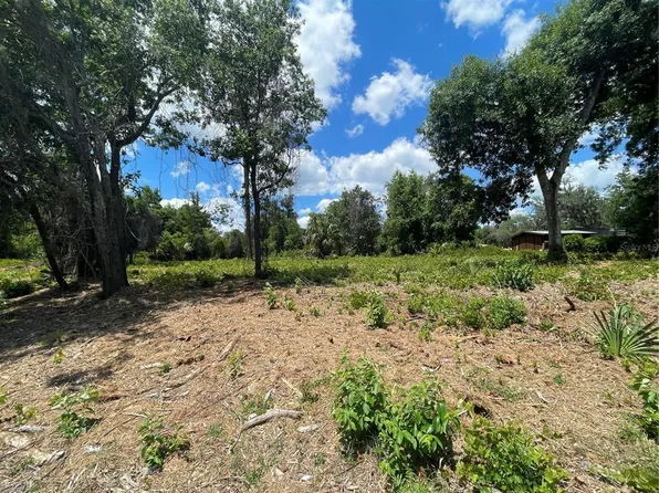 County Road 42 Lot 395, Umatilla, FL 32784