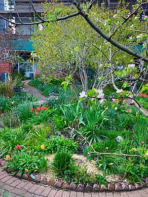 Rented by Platinum Properties | media 28