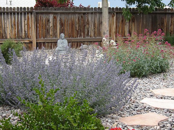 Backyard after landscaping