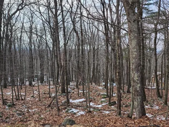 895 Pico Ln, Tafton, PA 18464