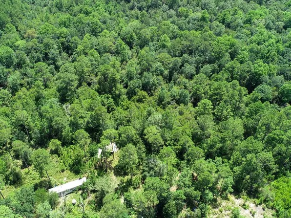 81 Blue Bonnett Ln, Nahunta, GA 31553