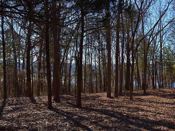 3rd image of TRACT A/B Shiloh Cove Ln