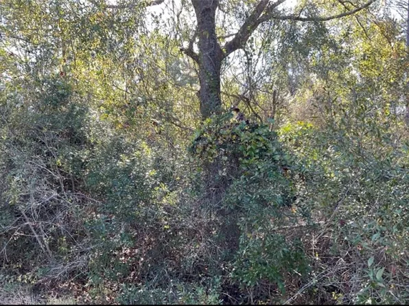 0 Quiesqueya Cir, Waycross, GA 31503