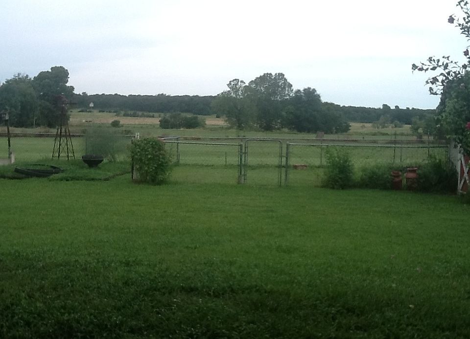Backyard view. 