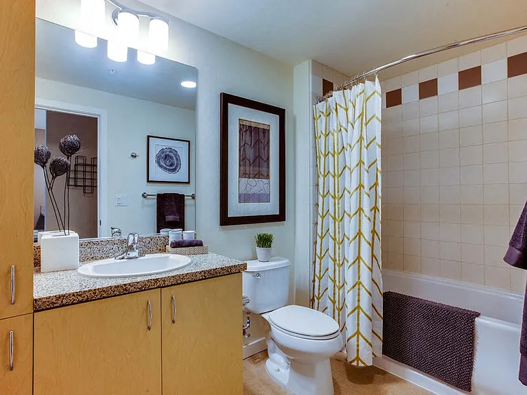 Built-in storage in bathrooms