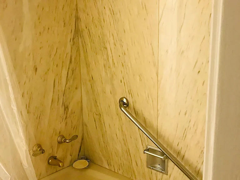 Shower with tub
