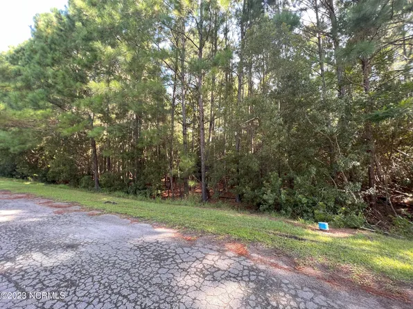 5201 Deerfield Drive, Oriental, NC 28571