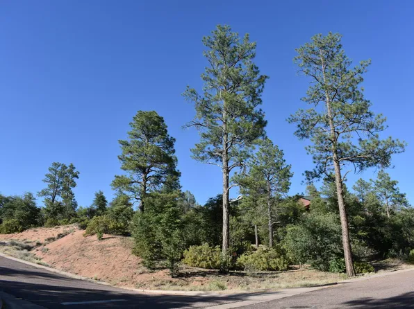 19 E Pine Ridge Dr, Payson, AZ 85541