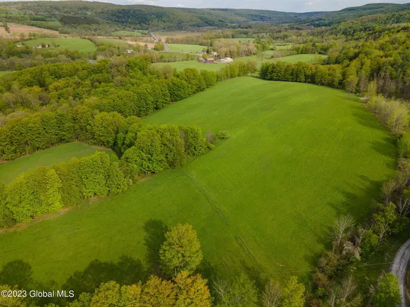 Lot #3 Sickle Hill Road, Berne, NY 12023