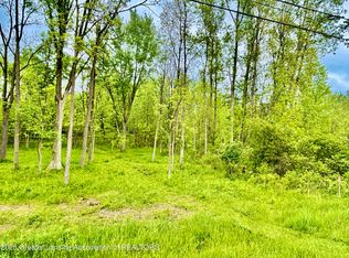 C Lot 0 Willow, Lansing, MI 48917