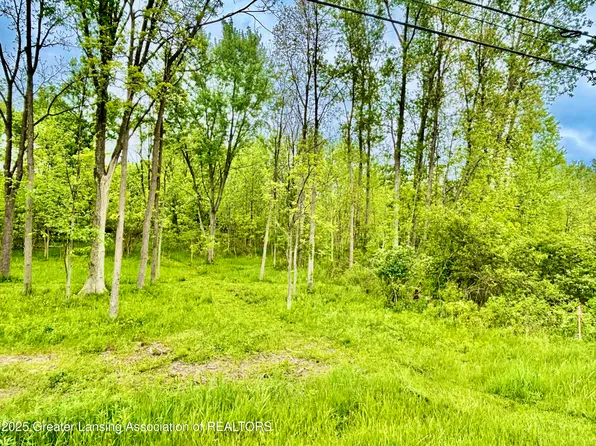 C Lot 0 Willow, Lansing, MI 48917