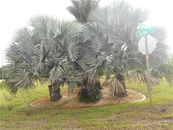 3rd image of 10126 Peach Ave