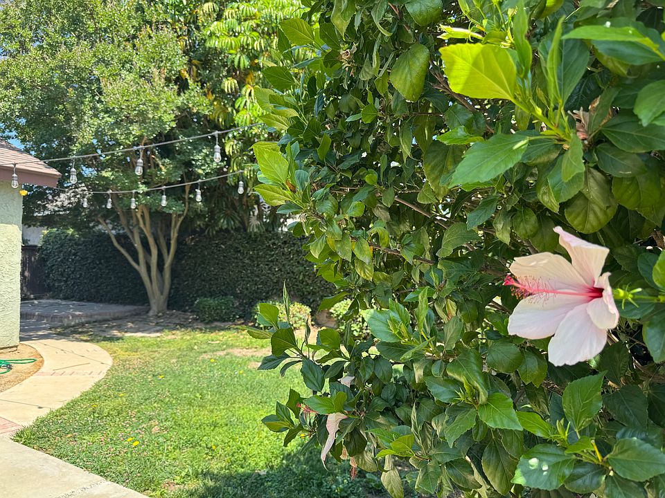 Lovely green backyard. Quiet and peaceful in the suburbs.