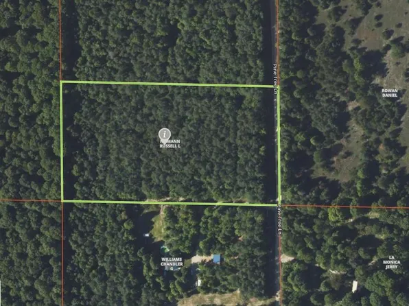 0 S Pine Tree Ln, Beulah, MI 49617