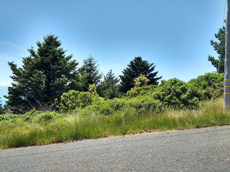 2nd image of 306 Nob Hill Rd