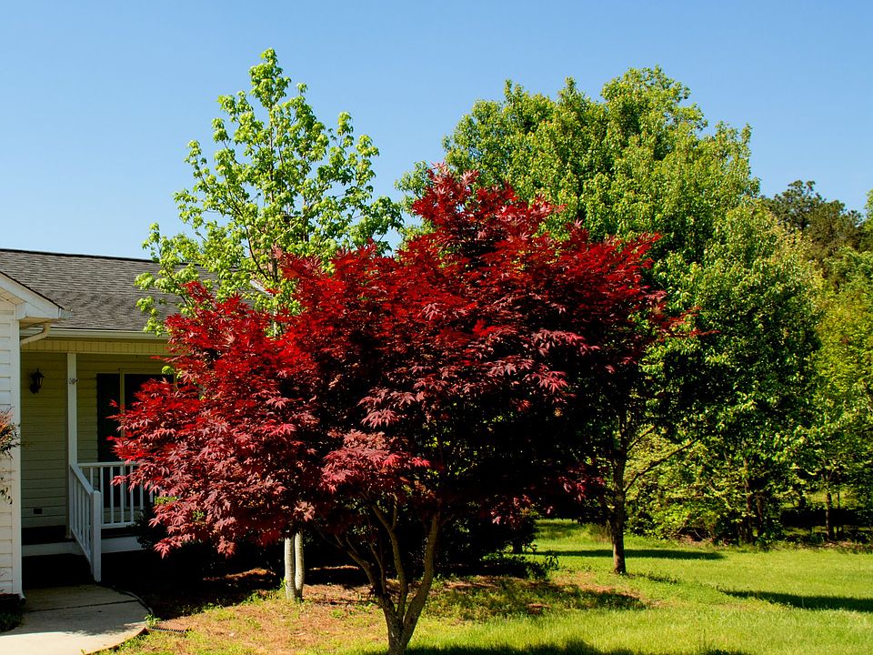 2nd image of 120 Ohara Dr