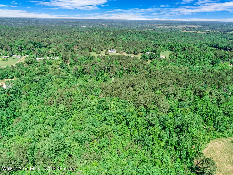 1610 Hull Rd, Sumiton, AL 35148 Zillow