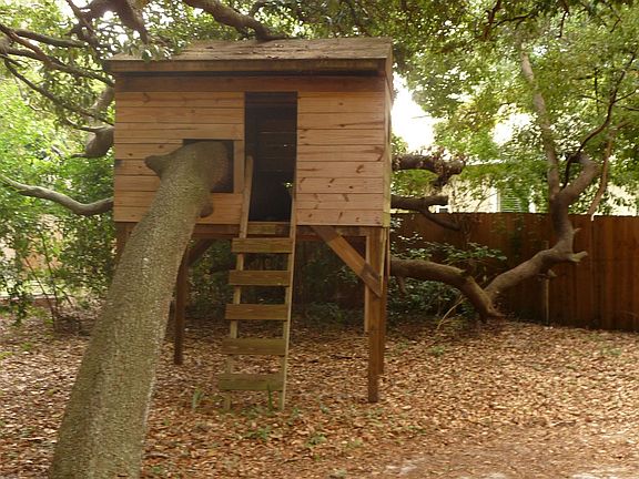 Tree house.