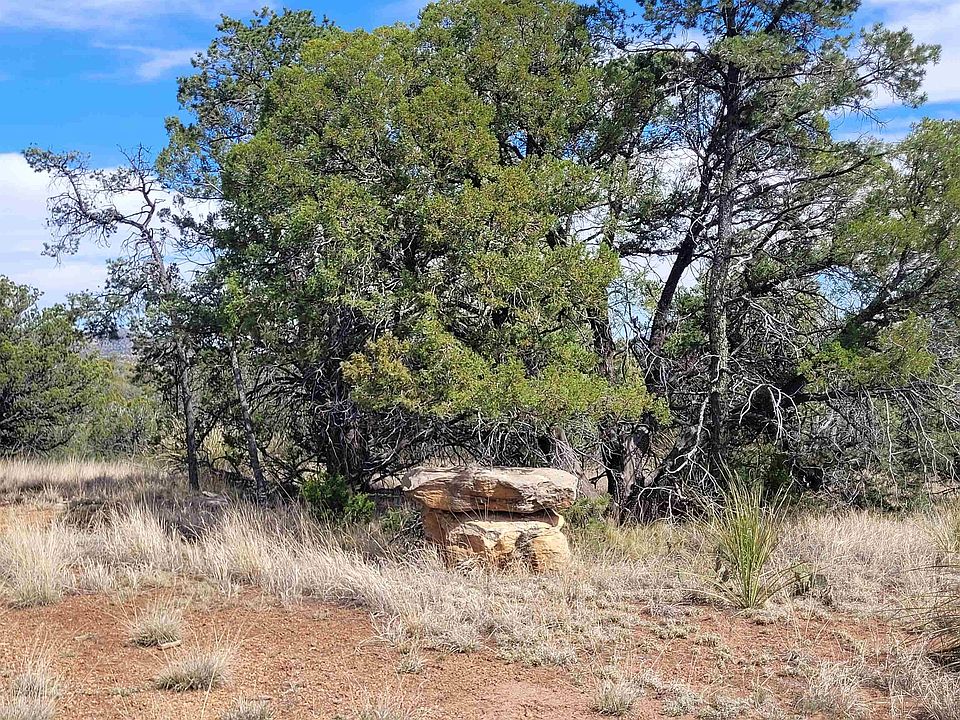 1st image of Xx Moon Shadow