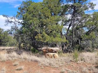 Xx Moon Shadow, Hanover, NM 88041