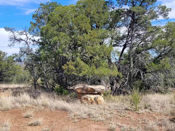 Xx Moon Shadow, Hanover, NM 88041