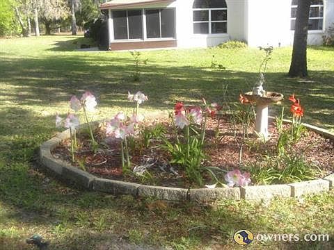 from back yard looking toward family room
